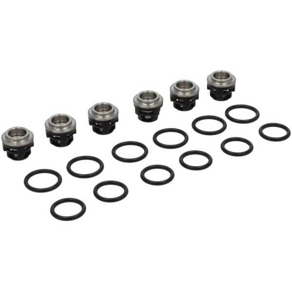BS 5401 Briggs & Stratton Reservedele OEM - 193955GS - Kontraventilsæt