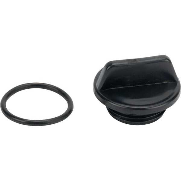 BS 5401 Briggs & Stratton Reservedele OEM - 198155GS - Plug