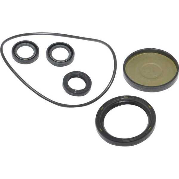 BS Pakningssæt Briggs & Stratton - 202B2126GS - Kit-Oil Seal