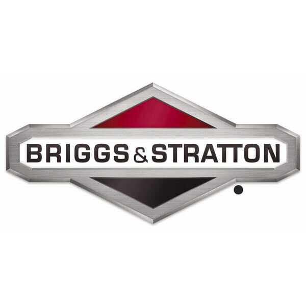 BS 5401 Briggs & Stratton Reservedele OEM - 2992801280 - Skrue