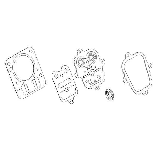 BS Toppakning Briggs & Stratton - 791798 - Gasket Set-Valve